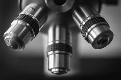 the total magnification of an object can be found by|How to Calculate Total Magnification of a .
